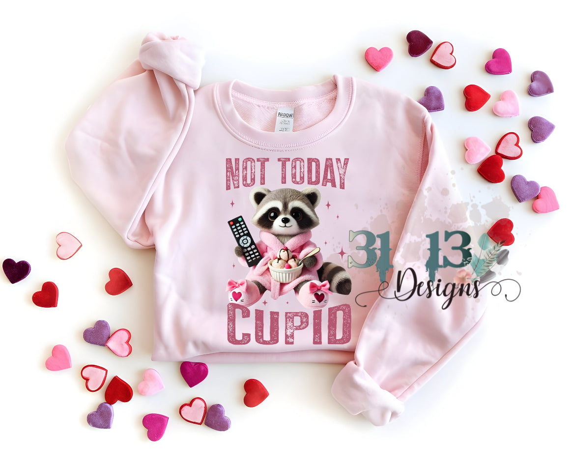 Not Today Cupid Raccoon