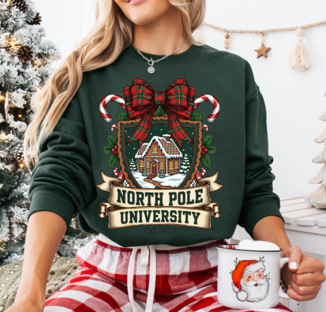 North Pole University